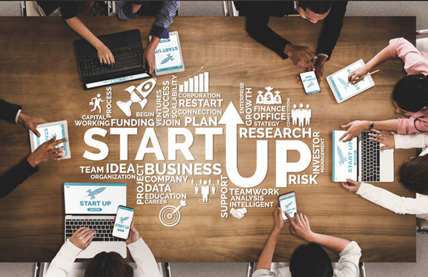Startup web design experience and branding expertise