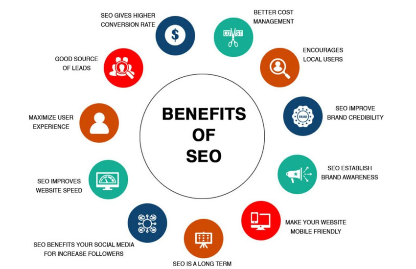 SEO Optimization Success